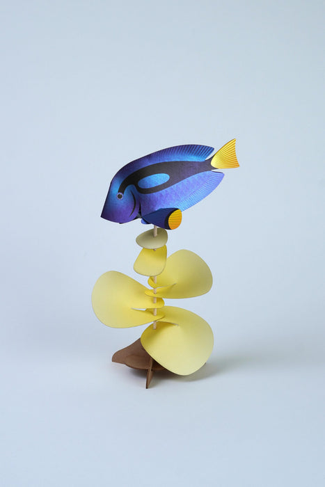 Paper Blue Tang