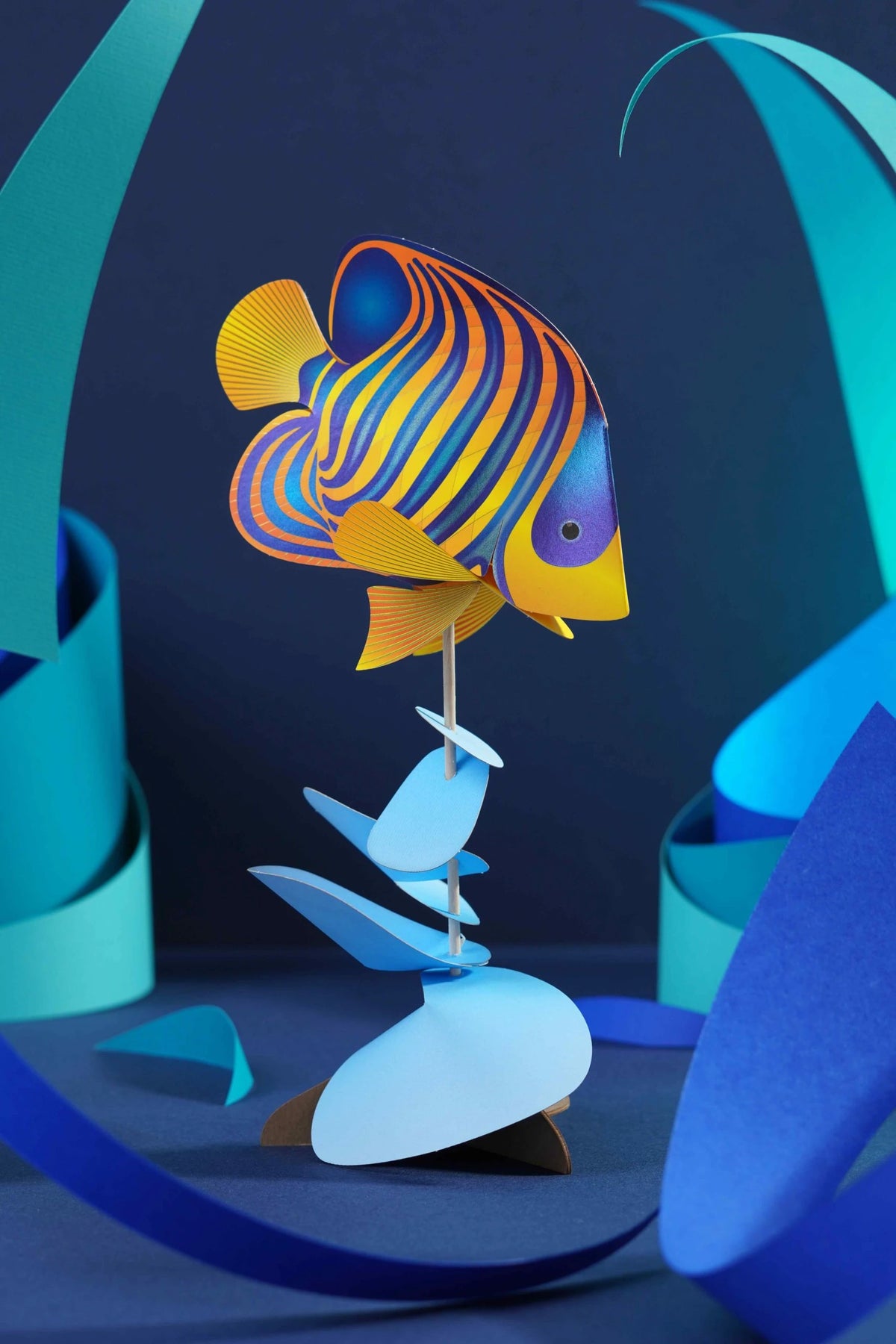 Paper Regal Angelfish– Papier Plume