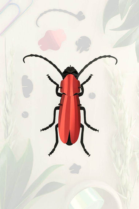 Assembli-rosalia-beetle-red-trans-low