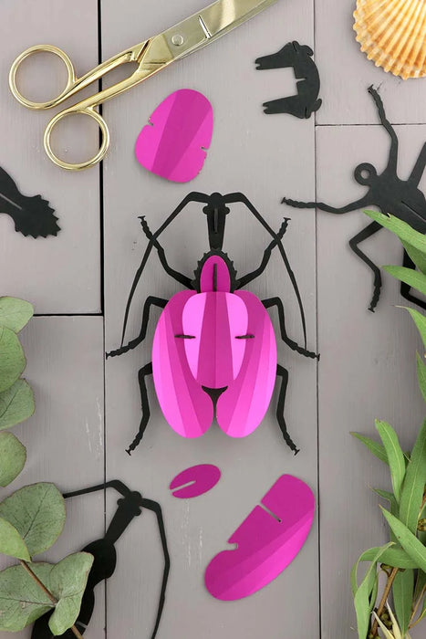 Paper Violin Beetle