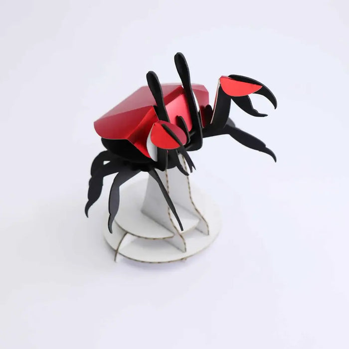 Paper Beach Crab - Papier Plume