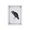 Rossi - Journals - Soft cover - Stitched - Crow - A5 - Papier Plume
