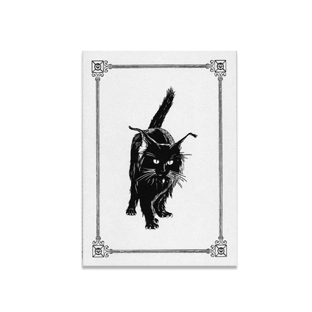 Rossi - Journals - Soft cover - Stitched - Black Cat A5 - Papier Plume