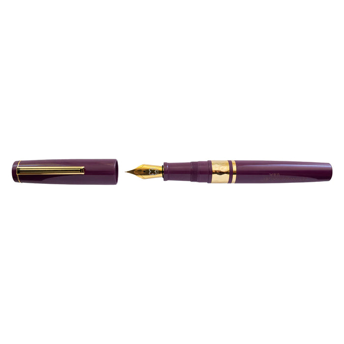 Esterbrook - Model J - Purple Collection - Fountain pen - Papier Plume