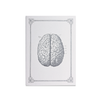 Rossi - Journals - Soft cover - Stitched - Human Brain A5 - Papier Plume