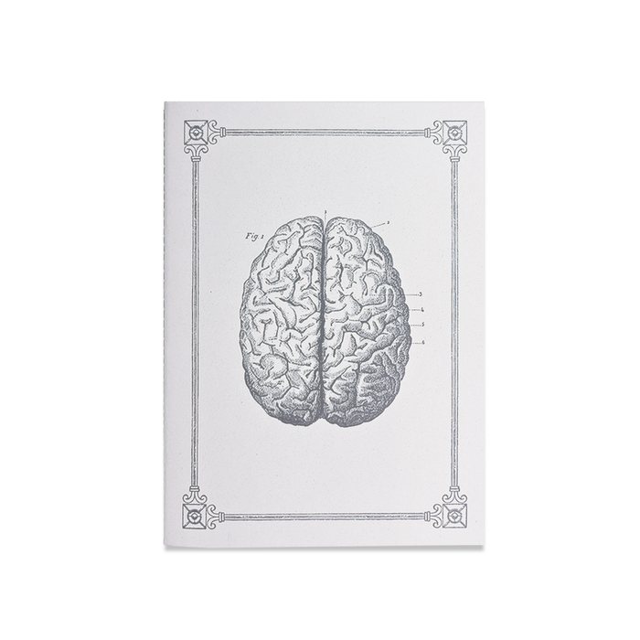 Rossi - Journals - Soft cover - Stitched - Human Brain A5 - Papier Plume