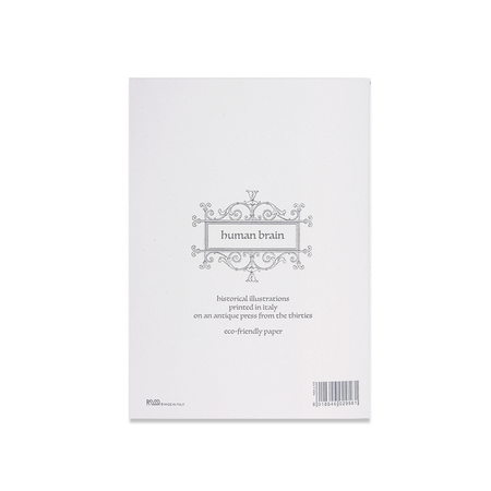 Rossi - Journals - Soft cover - Stitched - Human Brain A5 - Papier Plume
