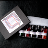 Papier Plume Loop Series fountain pen ink set with multiple ink bottles in various colors, designed for elegant writing.