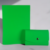 Lime green Papier Plume Swatch Book set with color samples for crafting and design projects.
