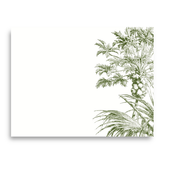 Alexa Pulitzer - Papaya - A2 Notes