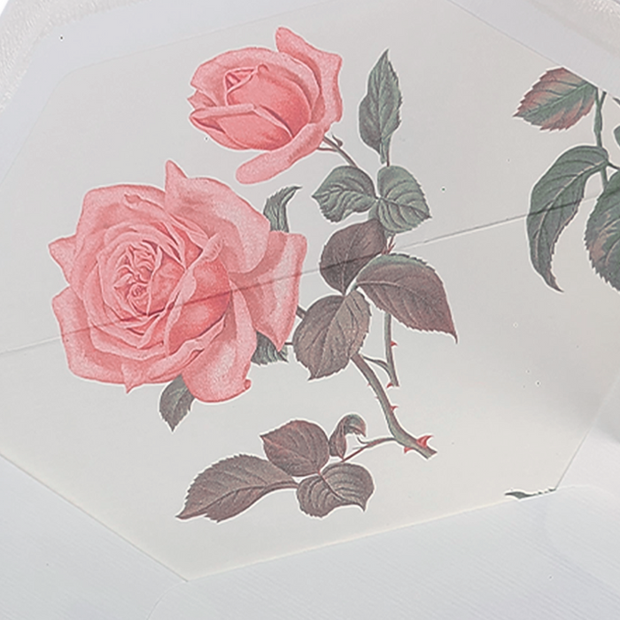 Rossi - Roses - Lined Envelopes - Papier Plume