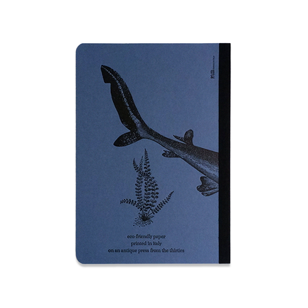 Rossi - Shark Journal - Papier Plume