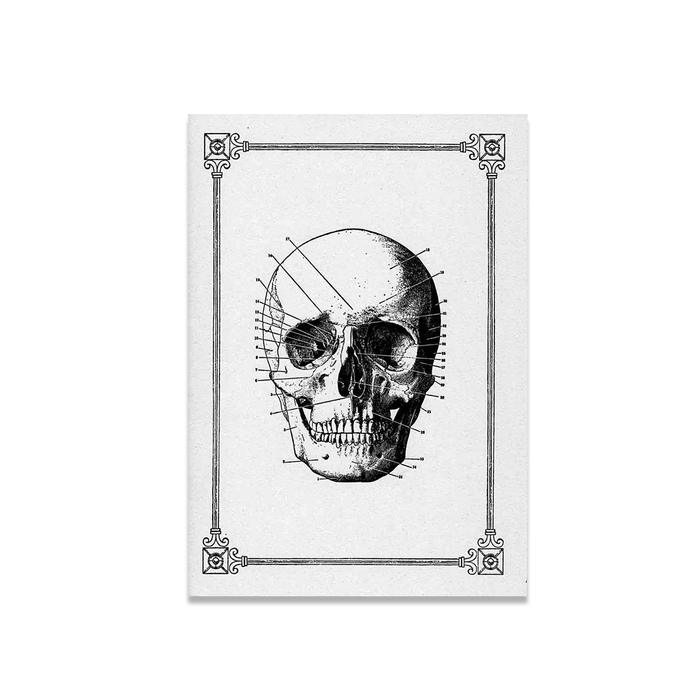 Rossi - Journals - Soft cover - Stitched - Skull A5 - Papier Plume
