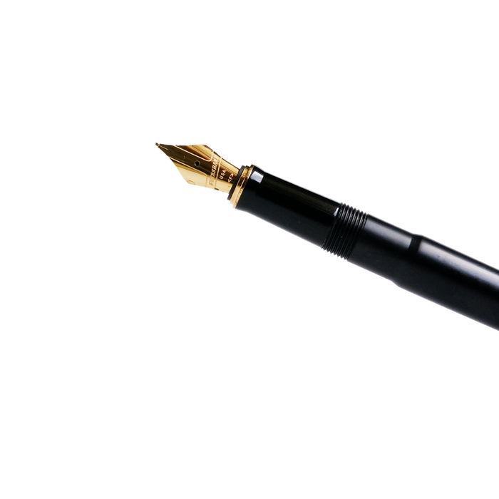 Wahl-Eversharp - Skyline - Fountain Pen - Gold Trim - Papier Plume