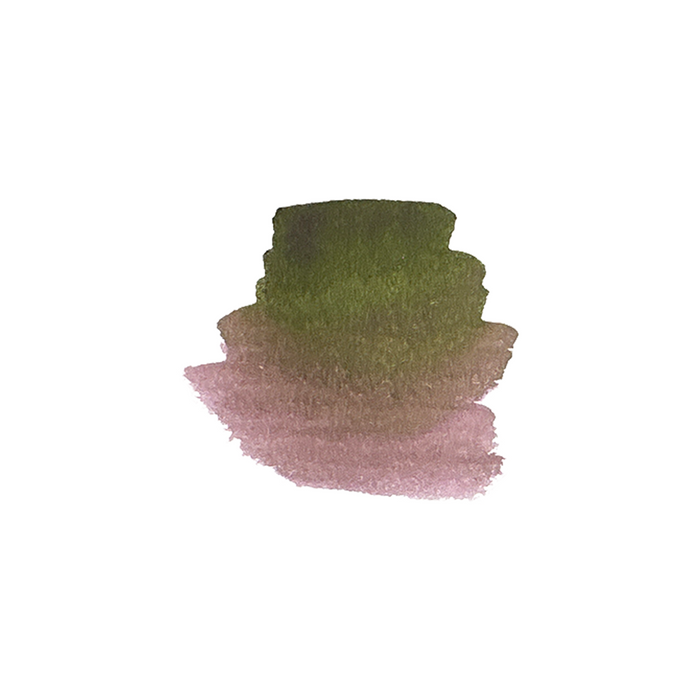 Pilot - Iroshizuku - Fountain Pen Ink - 15ml - Syun Gyo