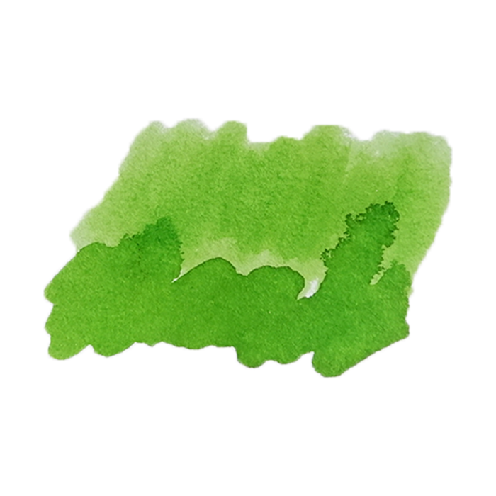 Cathay - Verdant Courtyard - Fountain Pen Ink - Papier Plume