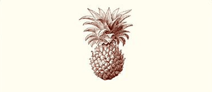 Alexa Pulitzer - Pineapple A2 Notes - Papier Plume