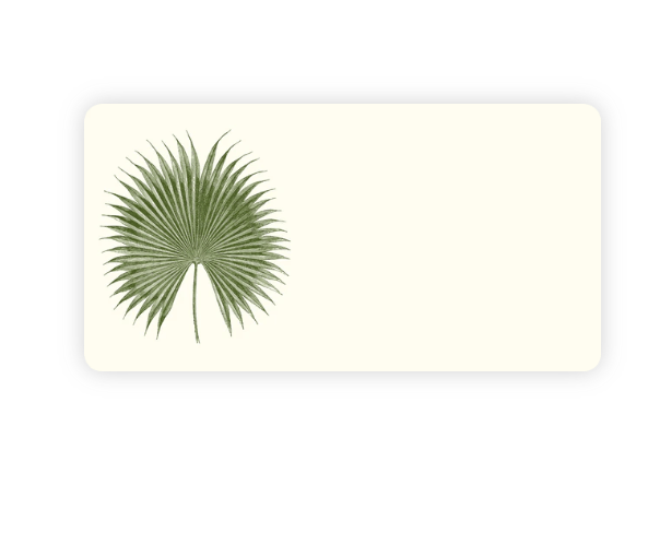 Alexa Pulitzer - Palm - Monarch Note Cards - Papier Plume