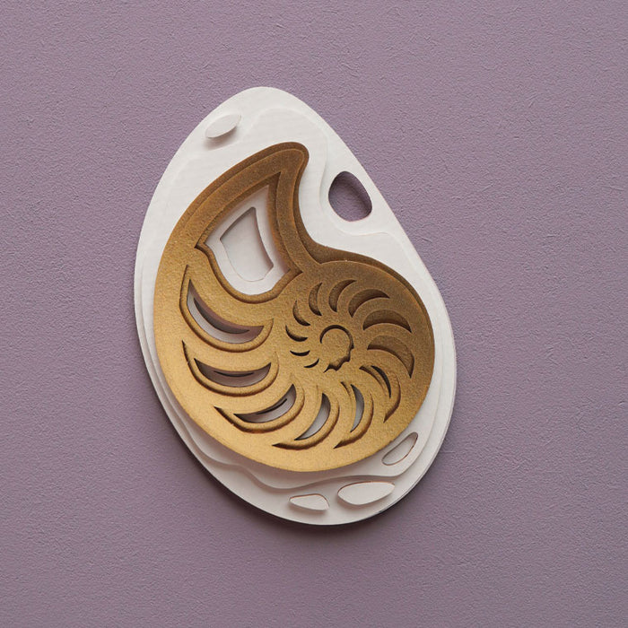 Paper Fossil Art - Ammonite
