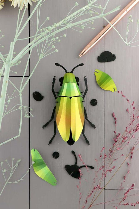 Paper Jewel Beetle