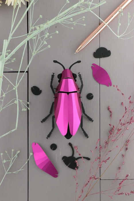 Paper Jewel Beetle