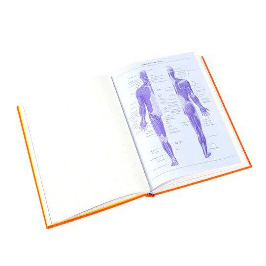 Princeton Architectural Press - Grid & Guides - Large - Orange - Papier Plume