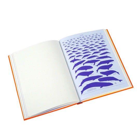 Princeton Architectural Press - Grid & Guides - Large - Orange