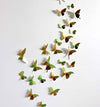 Paper Butterfly Collection - Papier Plume