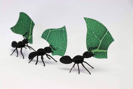 Paper Leafcutter Ants - Papier Plume