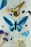 Paper Birdwing Butterfly - Papier Plume