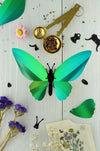 Paper Birdwing Butterfly - Papier Plume