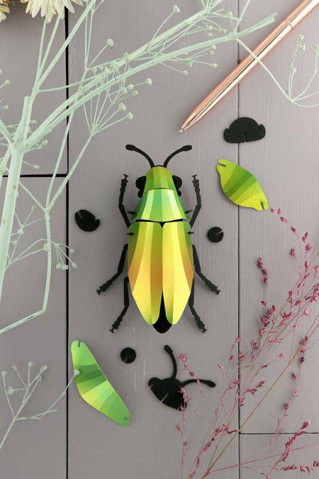 Paper Jewel Beetle - Papier Plume