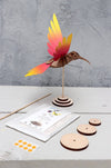 Paper Colibri - Papier Plume