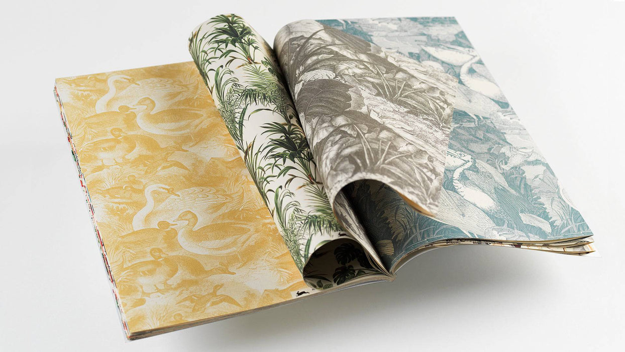 Pepin Press - Creative Paper - Natural History - Papier Plume