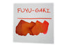 Pilot - Iroshizuku - Fountain Pen Ink - 50ml - Fuyu-Gaki (Winter Persimmon) - Papier Plume