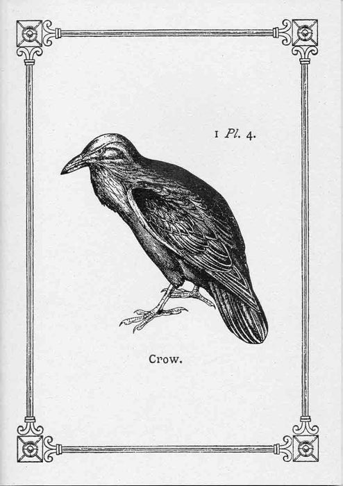 Rossi - Journals - Soft cover - Stitched - Crow - A5