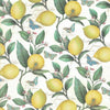 Rossi wrapping paper with lemon and butterfly pattern, featuring bright yellow lemons and colorful butterflies on white background.