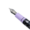 Esterbrook Sweetly Haunted fountain pen with detailed seasonal design and polished finish